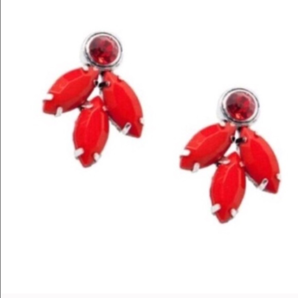 T & j earrings